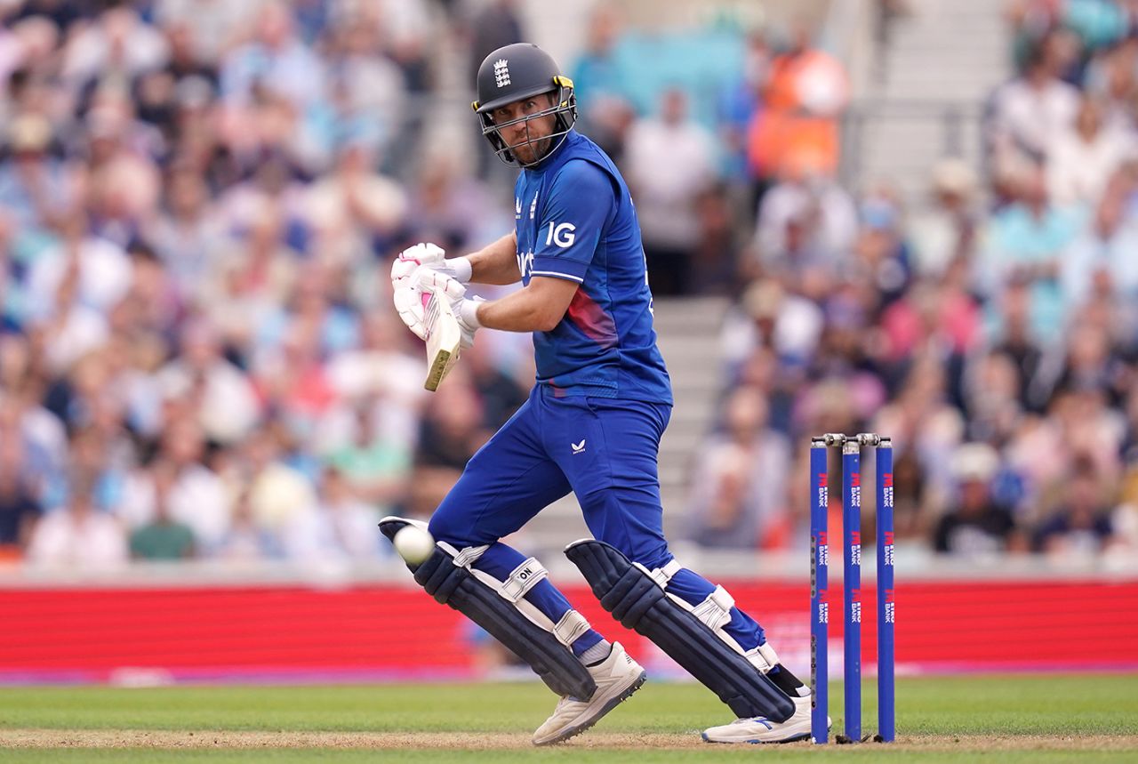 Dawid Malan brought up fifty, England vs New Zealand, 3rd ODI, The Oval, September 13, 2023