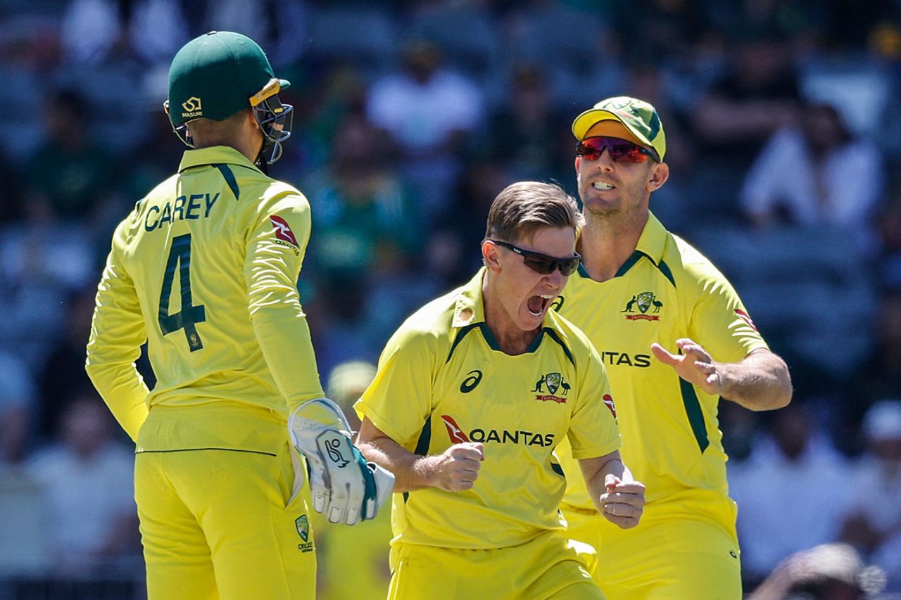 Adam Zampa roars after removing Heinrich Klaasen, South Africa vs Australia, 5th ODI, Johannesburg, September 17, 2023