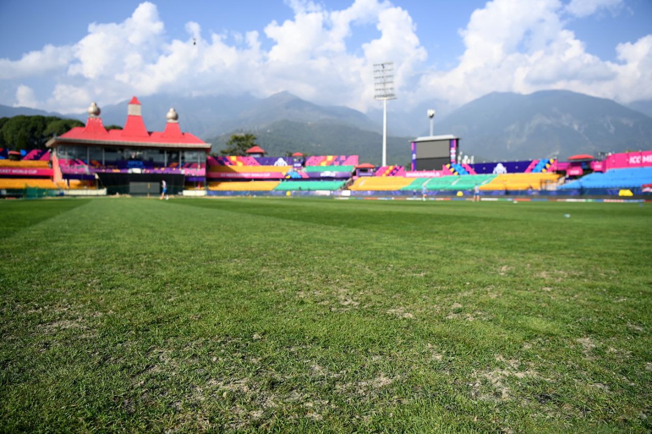 Detailed view of the sandy bits in the Dharamsala outfield, Dharamsala, October 8, 2023