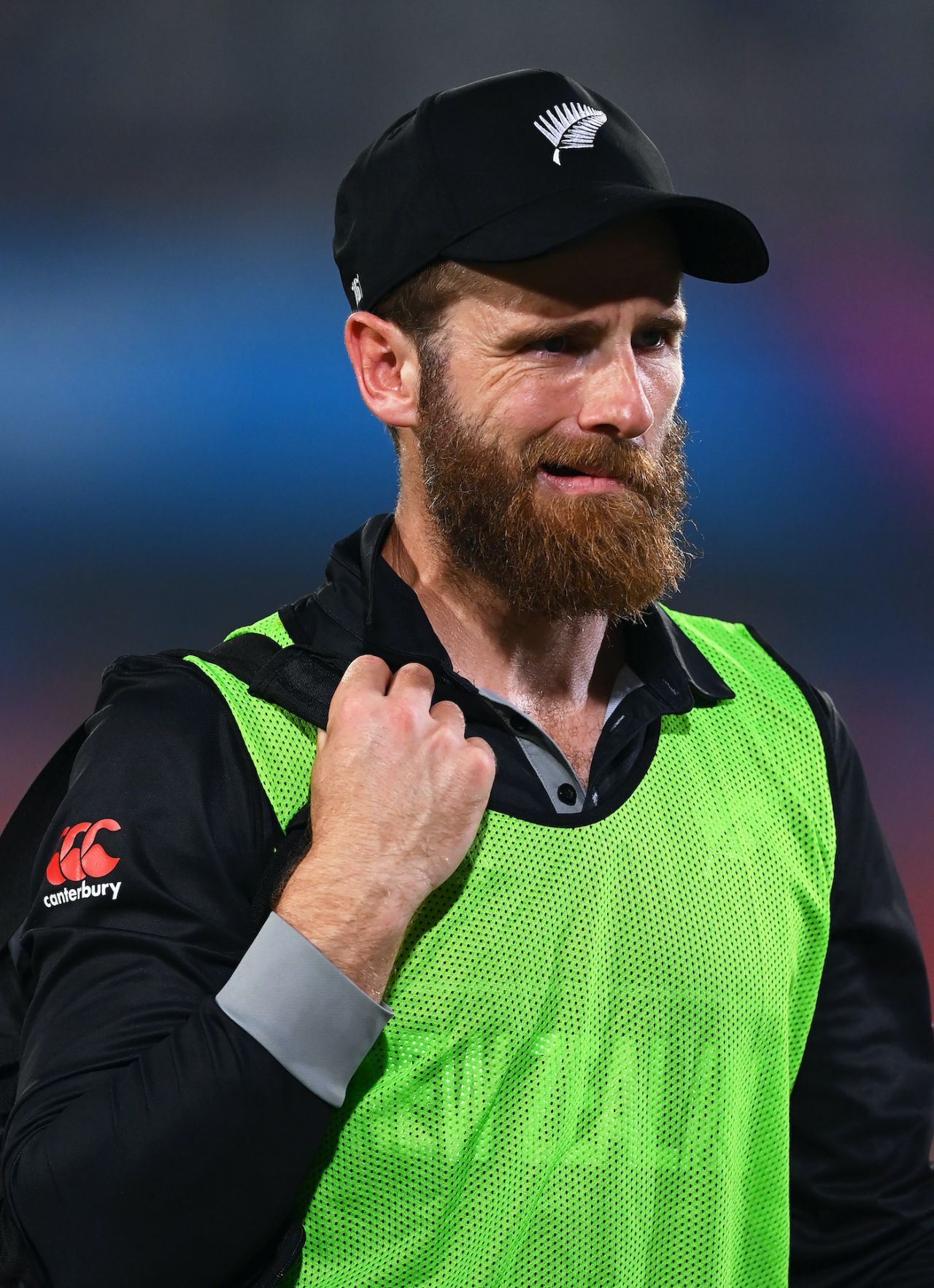Kane Williamson wasn't part of the game but might make the memes, Netherlands vs New Zealand,  ICC ODI World Cup, Hyderabad, October 9, 2023