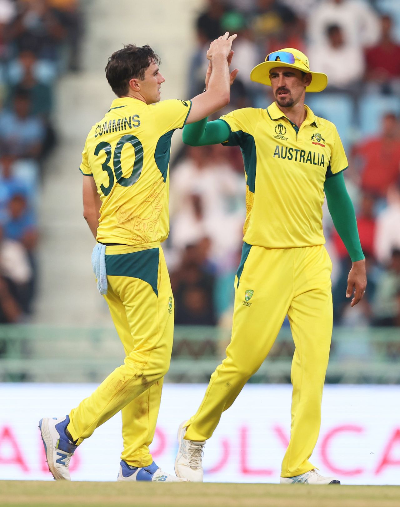 Mitchell Starc congratulates Pat Cummins, who made his first strike in the final powerplay, Australia vs South Africa, Men's ODI World Cup 2023, Lucknow, October 12, 2023