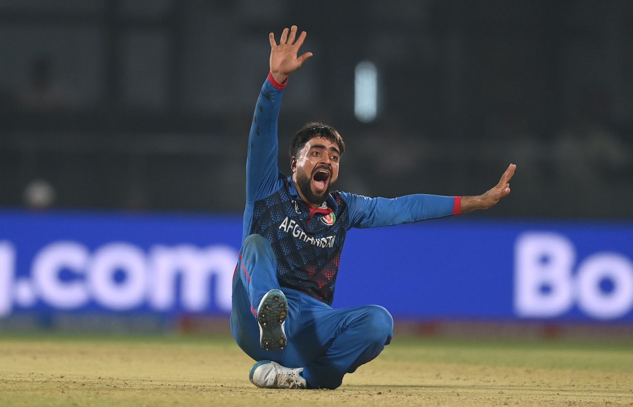 Rashid Khan was a live wire during the chase, England vs Afghanistan, Men's ODI World Cup 2023, Delhi, October 15, 2023