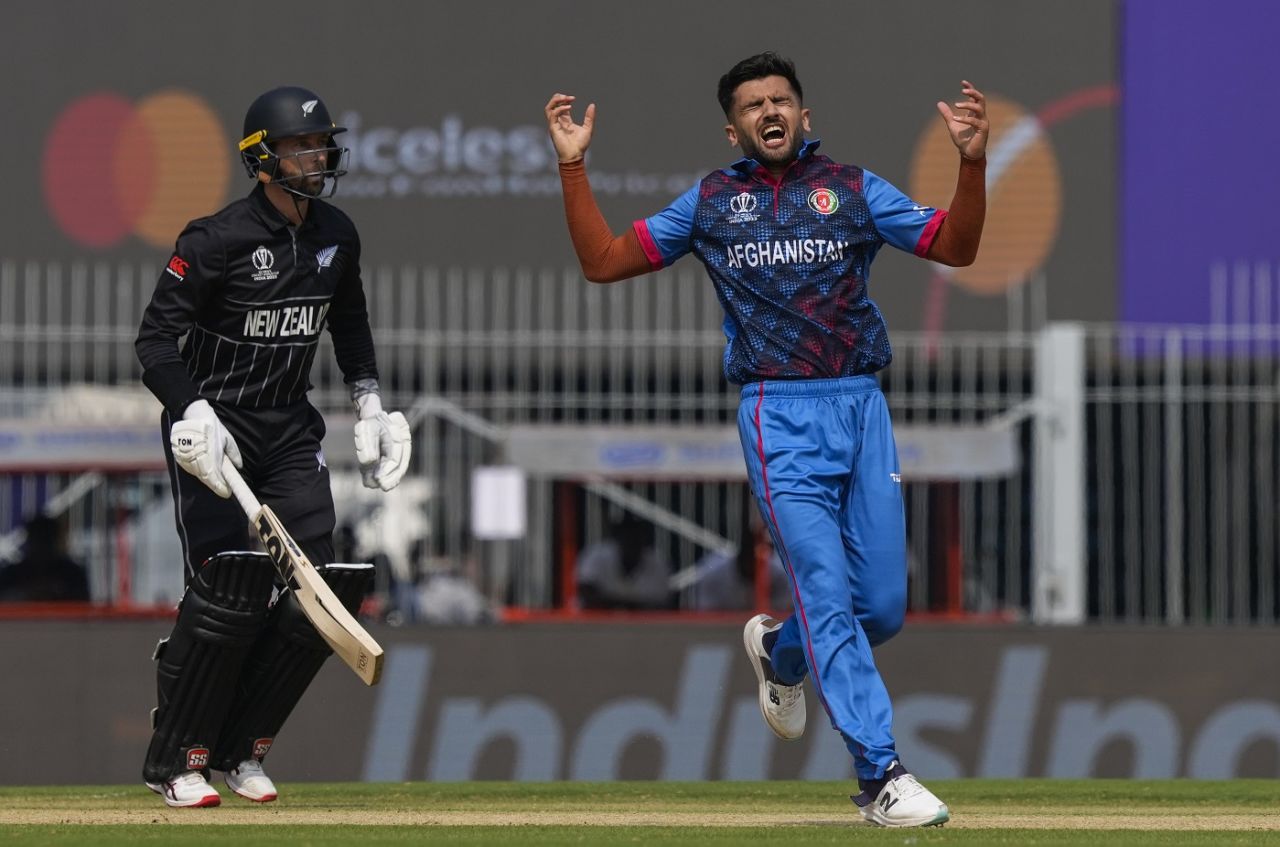 Fazalhaq Farooqi reacts after Will Young was dropped, New Zealand vs Afghanistan, World Cup, Chennai, October 18, 2023