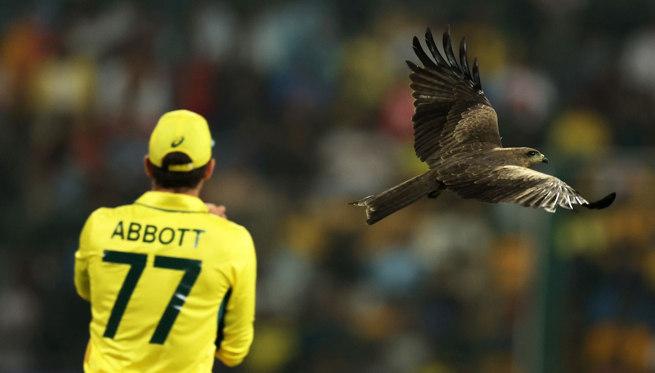 Sean Abbott couldn't get a hawk eye's view but spotted a kite, Australia vs Pakistan, Men's World Cup 2023, Bengaluru, October 20, 2023