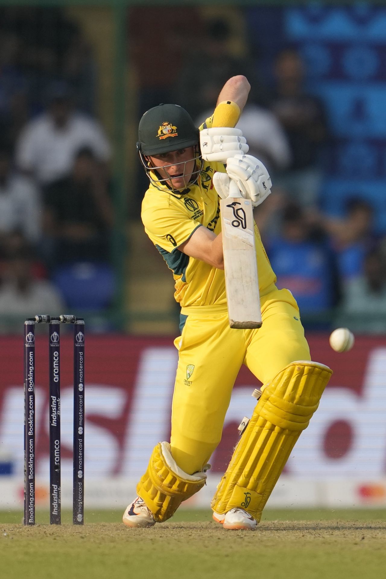 Marnus Labuschagne drives one on the up, Australia vs Netherlands, Men's ODI World Cup 2023, Delhi, October 25, 2023