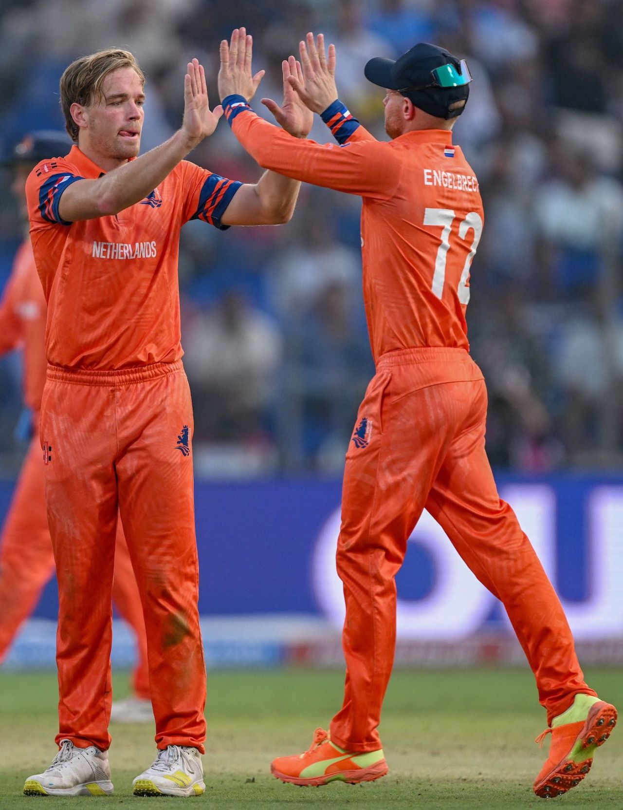 Bas de Leede getting Marnus Labuschagne started Netherlands' fightback, Australia vs Netherlands, Men's ODI World Cup 2023, Delhi, October 25, 2023