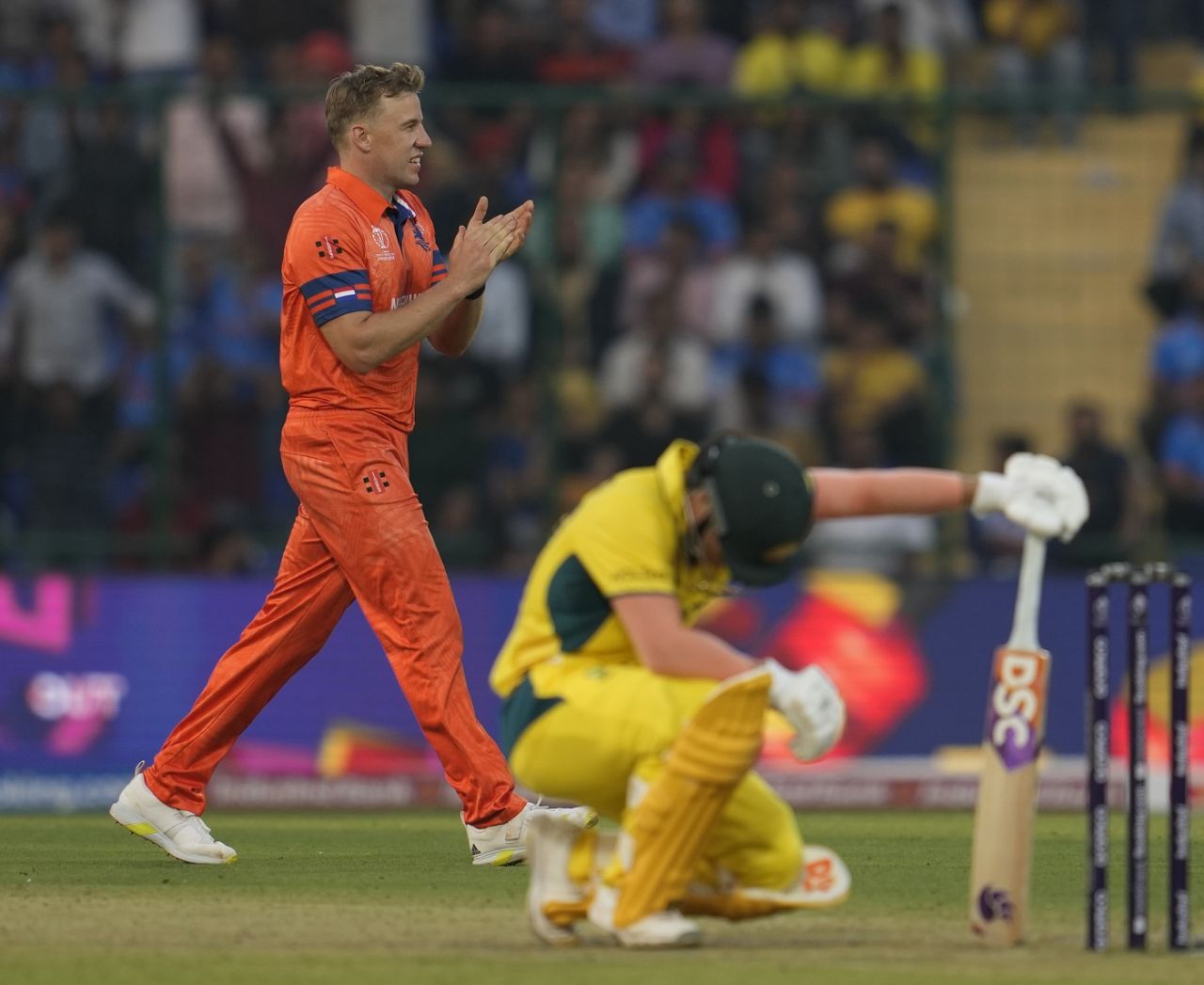 David Warner sinks down as Logan van Beek celebrates his dismissal, Australia vs Netherlands, Men's ODI World Cup 2023, Delhi, October 25, 2023