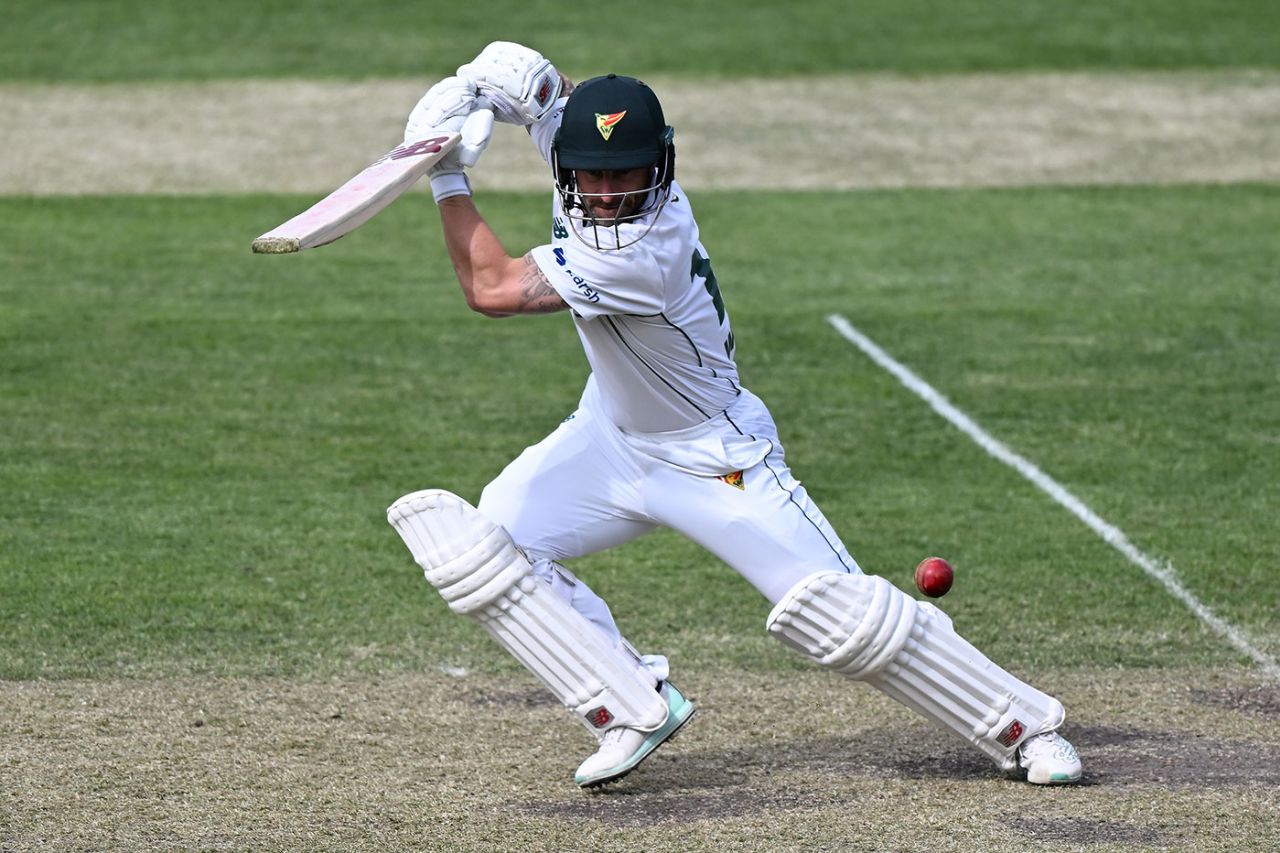 Matthew Wade drives during his century, Tasmania vs Queensland, Sheffield Shield, Hobart, October 29, 2023
