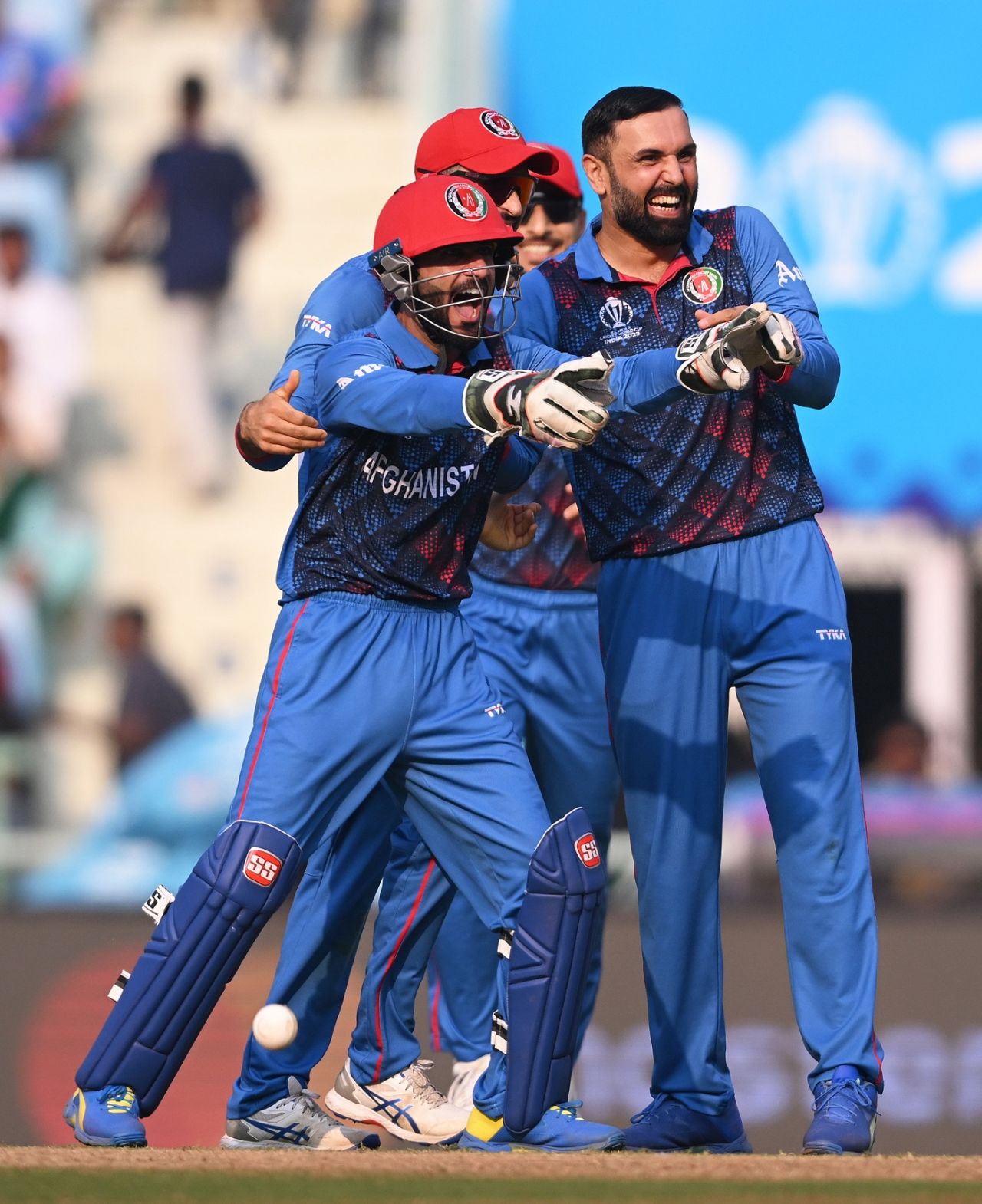 Ikram Alikhil gestures after effecting a smart glovework to run-out Colin Ackermann, Afghanistan vs Netherlands, ICC Men's World Cup, Lucknow, November 3, 2023