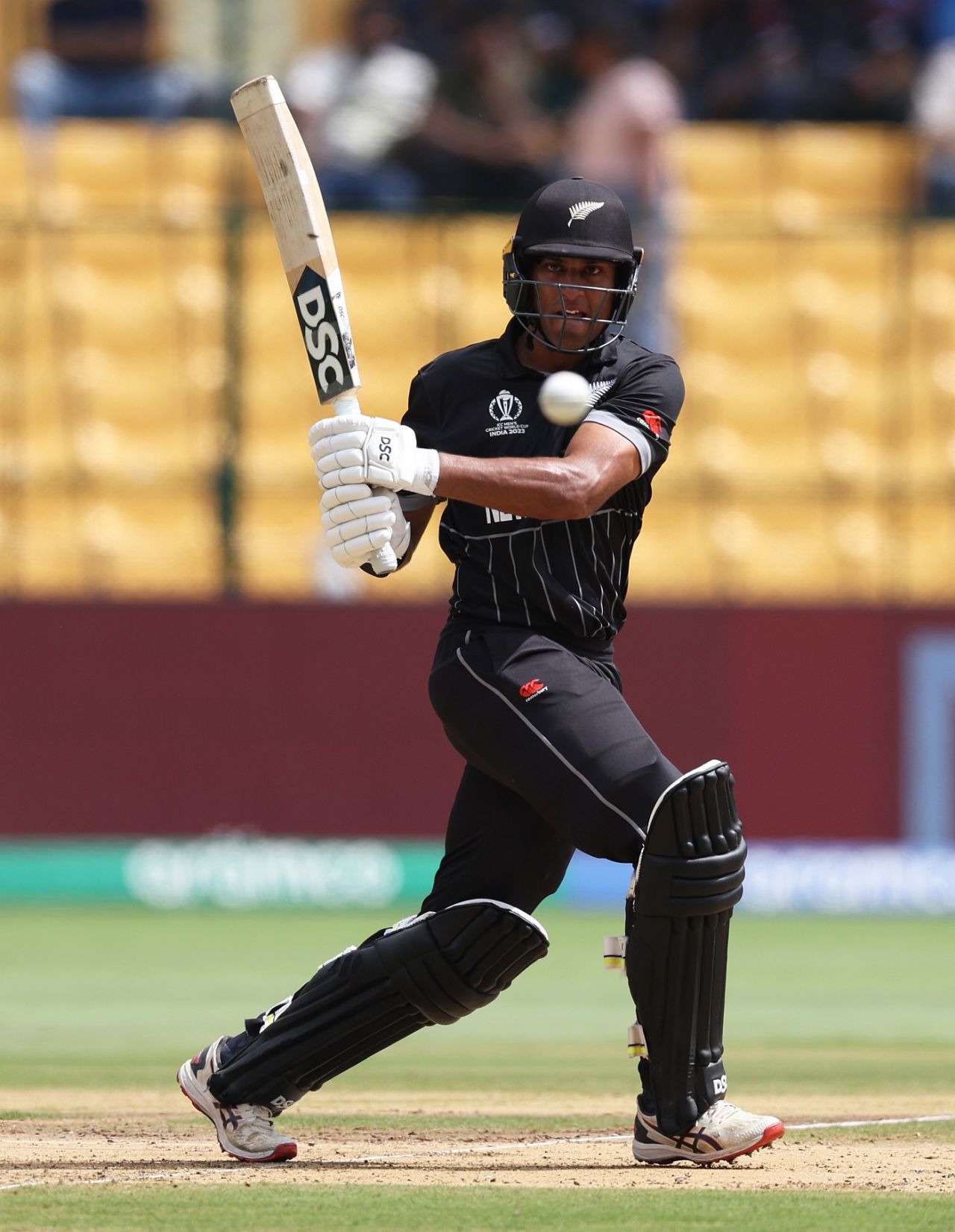 Rachin Ravindra pulls one away, New Zealand vs Pakistan, ODI World Cup, Bengaluru, November 4, 2023