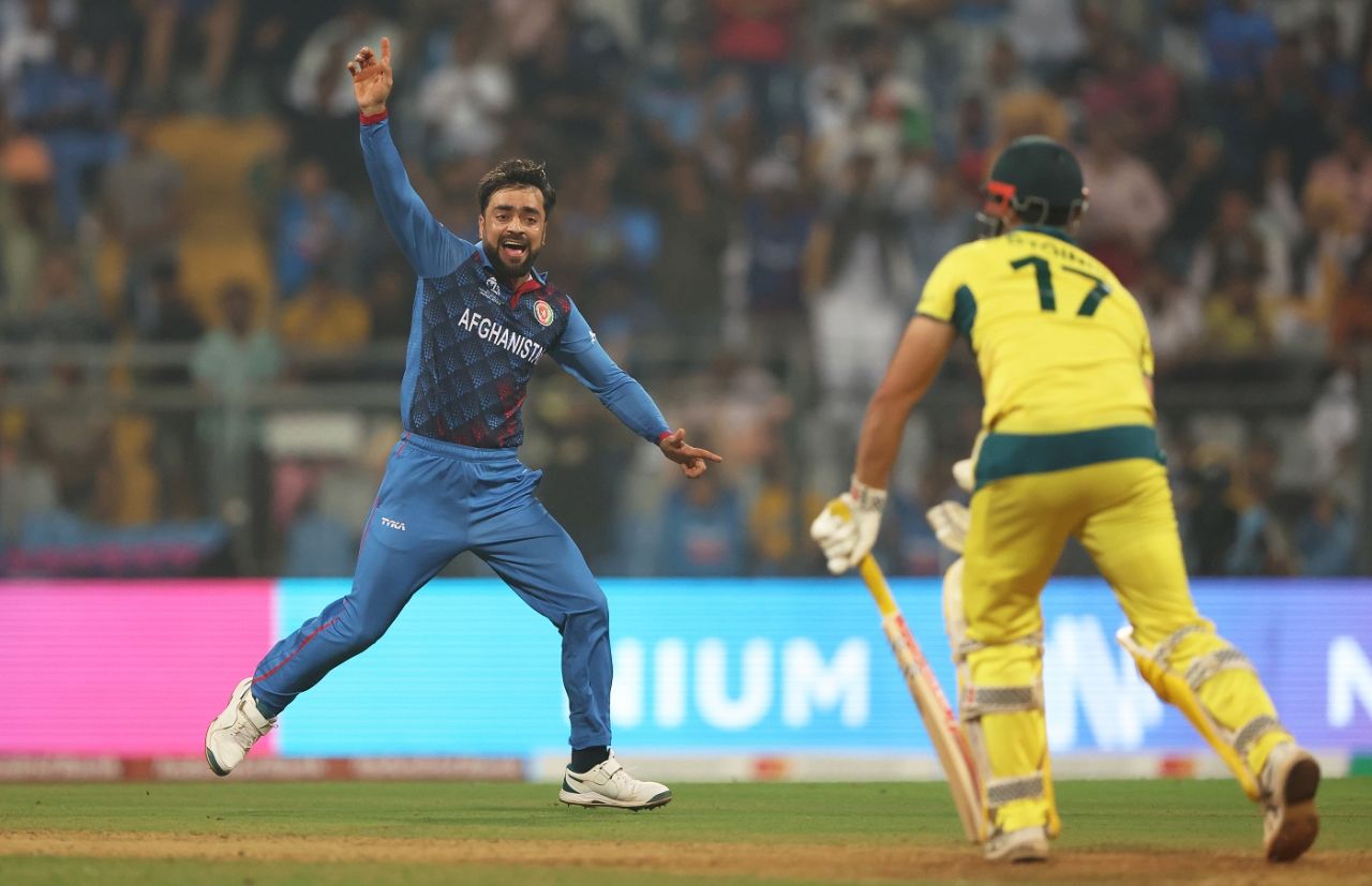 Rashid Khan had Marcus Stoinis lbw, Mumbai, November 7, 2023