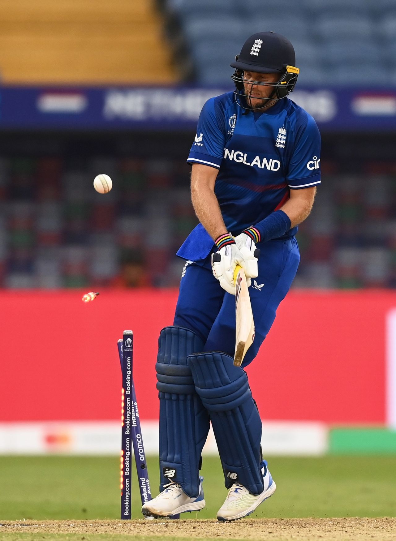 The reverse scoop for once did not go Joe Root's way, England vs Netherlands, World Cup, Pune, November 8, 2023