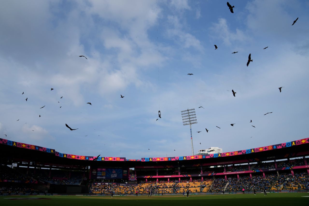 Kites circle the Chinnaswamy Stadium, New Zealand vs Sri Lanka, World Cup 2023, Bengaluru, November 9, 2023