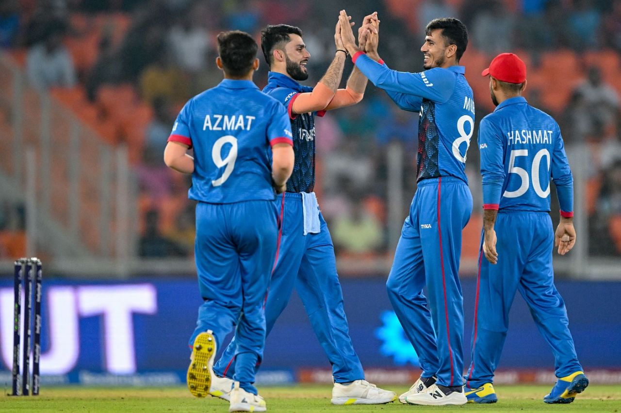 Mujeeb Ur Rahman and Naveen-ul-Haq celebrate the dismissal of Temba Bavuma, Afghanistan vs South Africa, World Cup, Ahmedabad, November 10, 2023