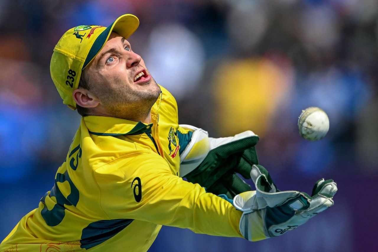 Josh Inglis makes an athletic attempt to pull off a catch, Australia vs Bangladesh, World Cup, Pune, November 11, 2023