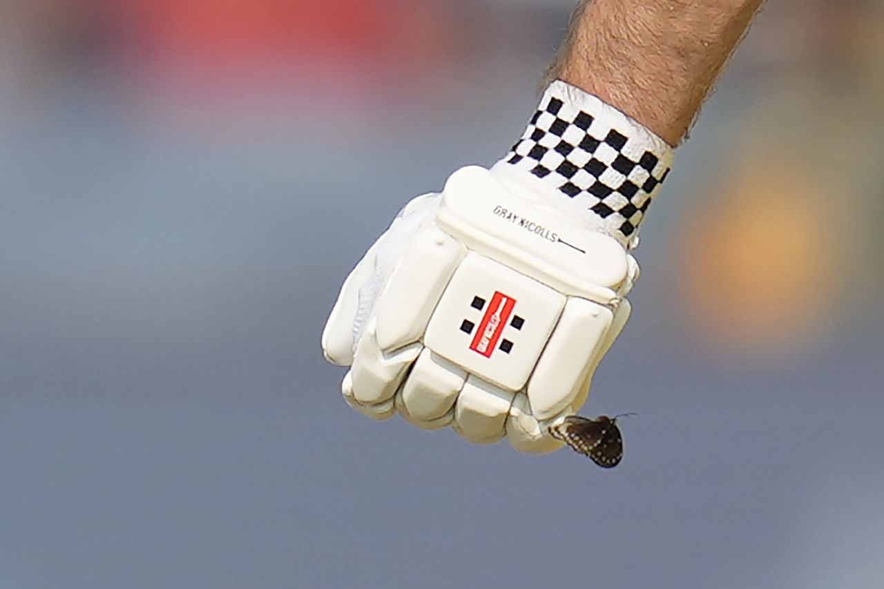 A butterfly sat on Mitchell Marsh's glove, Australia vs Bangladesh, Men's ODI World Cup, Pune, November 11, 2023
