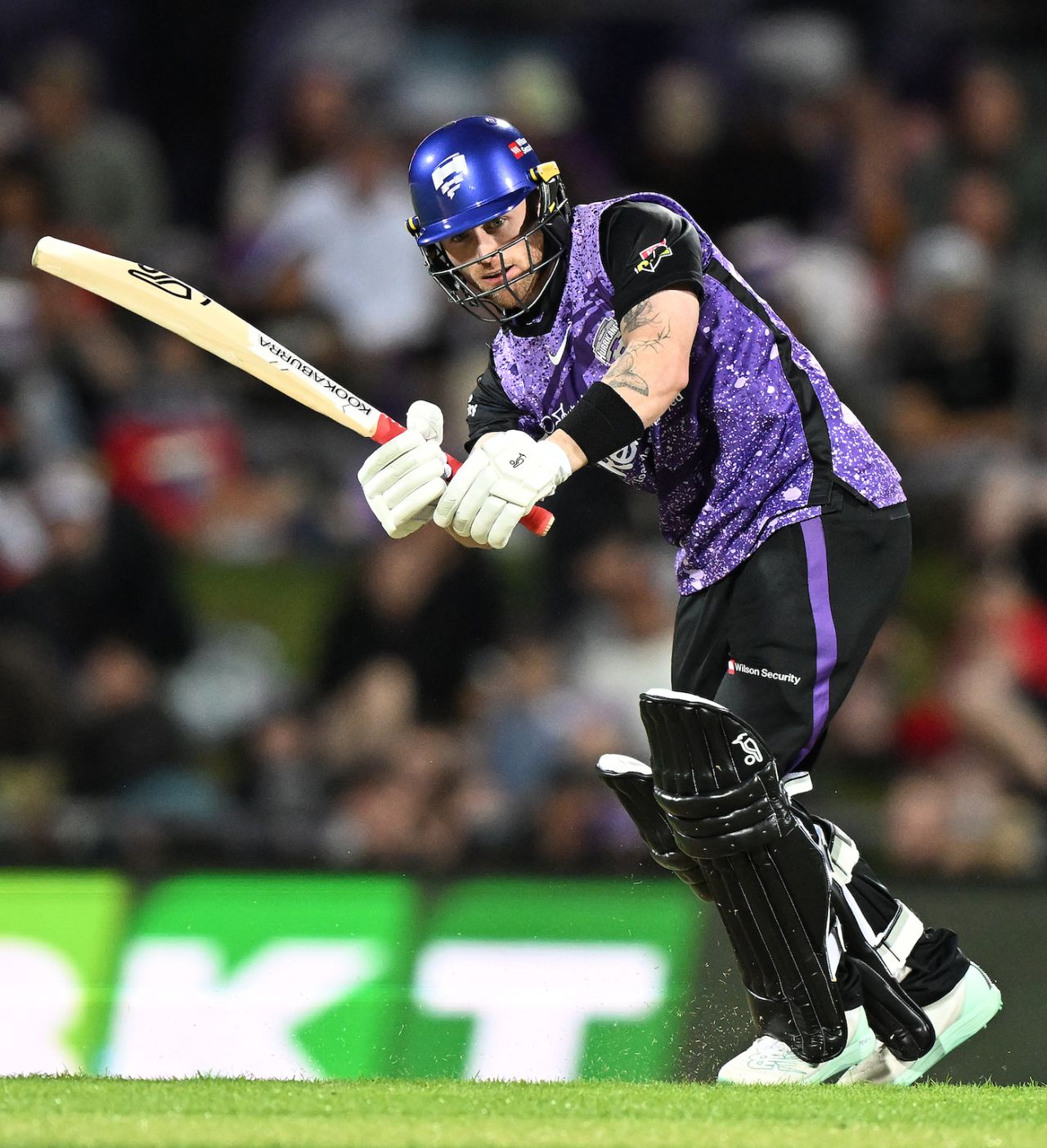 Macalister Wright scored a quick half-century, Hobart Hurricanes vs Melbourne Renegades, BBL, Hobart, December 23, 2023
