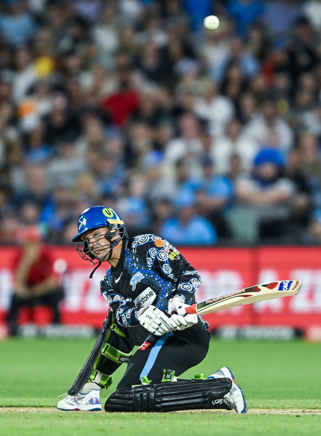 Alex Carey plays a reverse sweep, Adelaide Strikers vs Hobart Hurricanes, BBL 2023-24, Adelaide, January 9, 2024