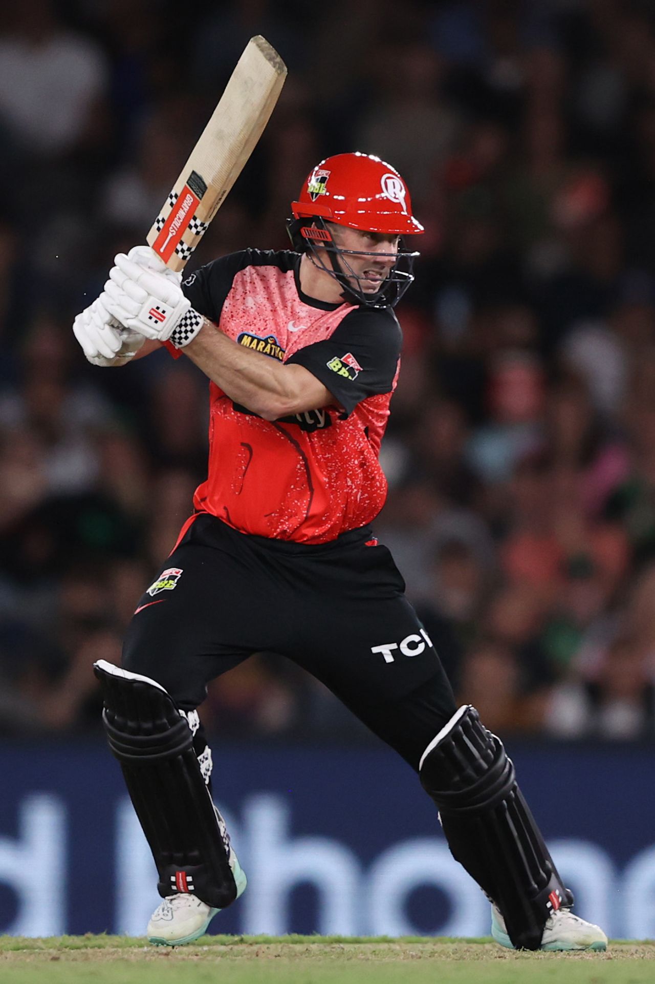 Shaun Marsh was solid at the top for Renegades, Melbourne Renegades vs Melbourne Stars, BBL, Melbourne, January 13, 2024