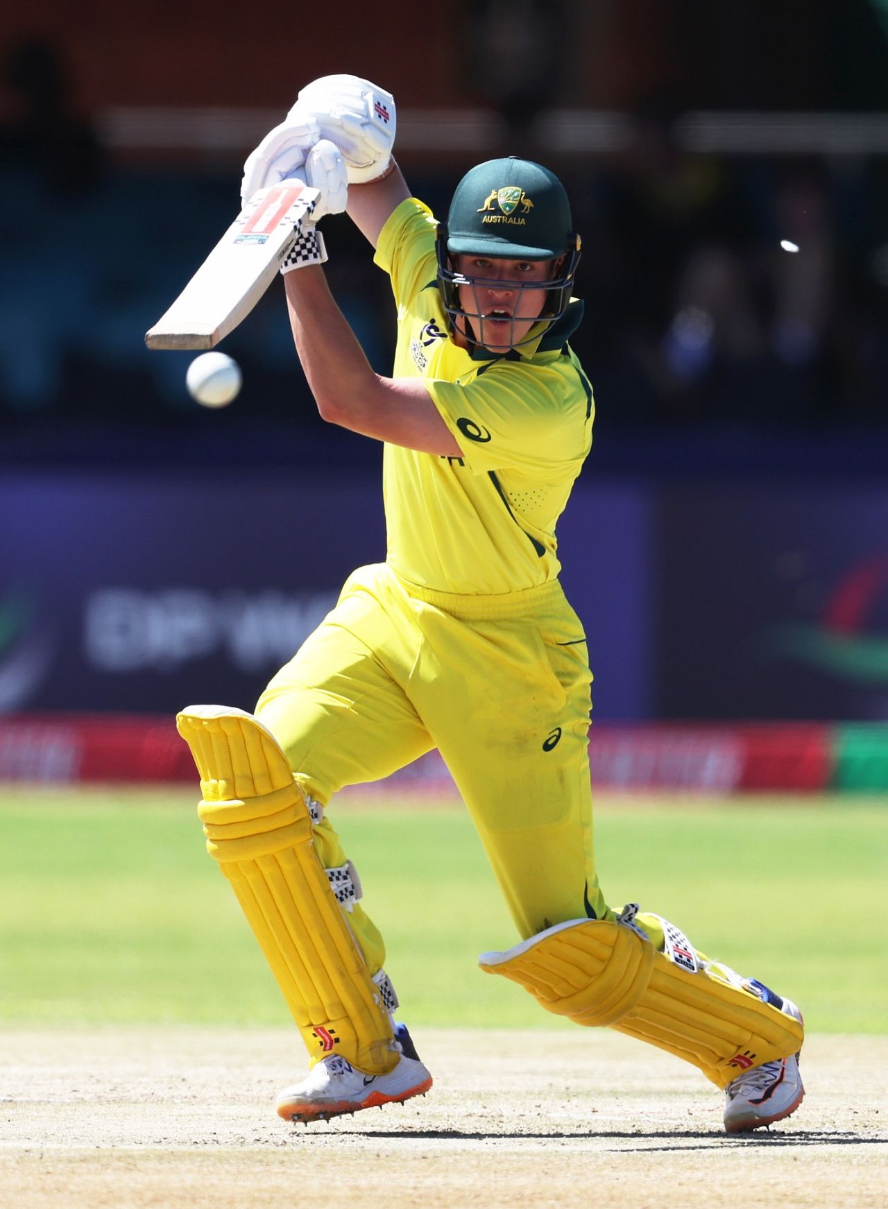 Harry Dixon scored his half-century in 69 balls, Zimbabwe vs Australia, Under-19 Men's World Cup, Kimberley, January 25, 2024