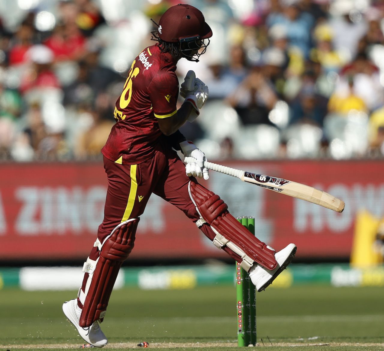 Keacy Carty fell for 88 after being sold down the river by Hayden Walsh, Australia vs West Indies, 1st ODI, Melbourne, February 02, 2024