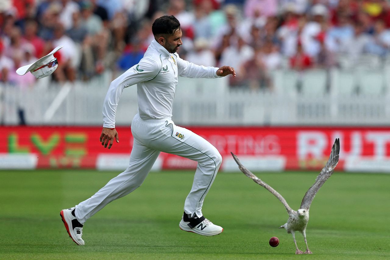 A bird flies past as Keshav Maharaj runs after the ball, England vs South Africa, 1st LV= Insurance Test, Lord's, day 2, August 18, 2022