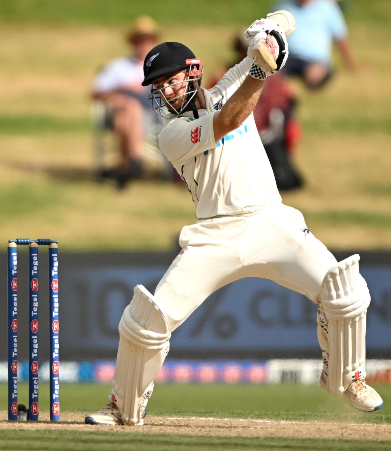 Kane Williamson played his shots when he got a chance, New Zealand vs South Africa, 2nd Test, Hamilton, 4th day, February 16, 2024