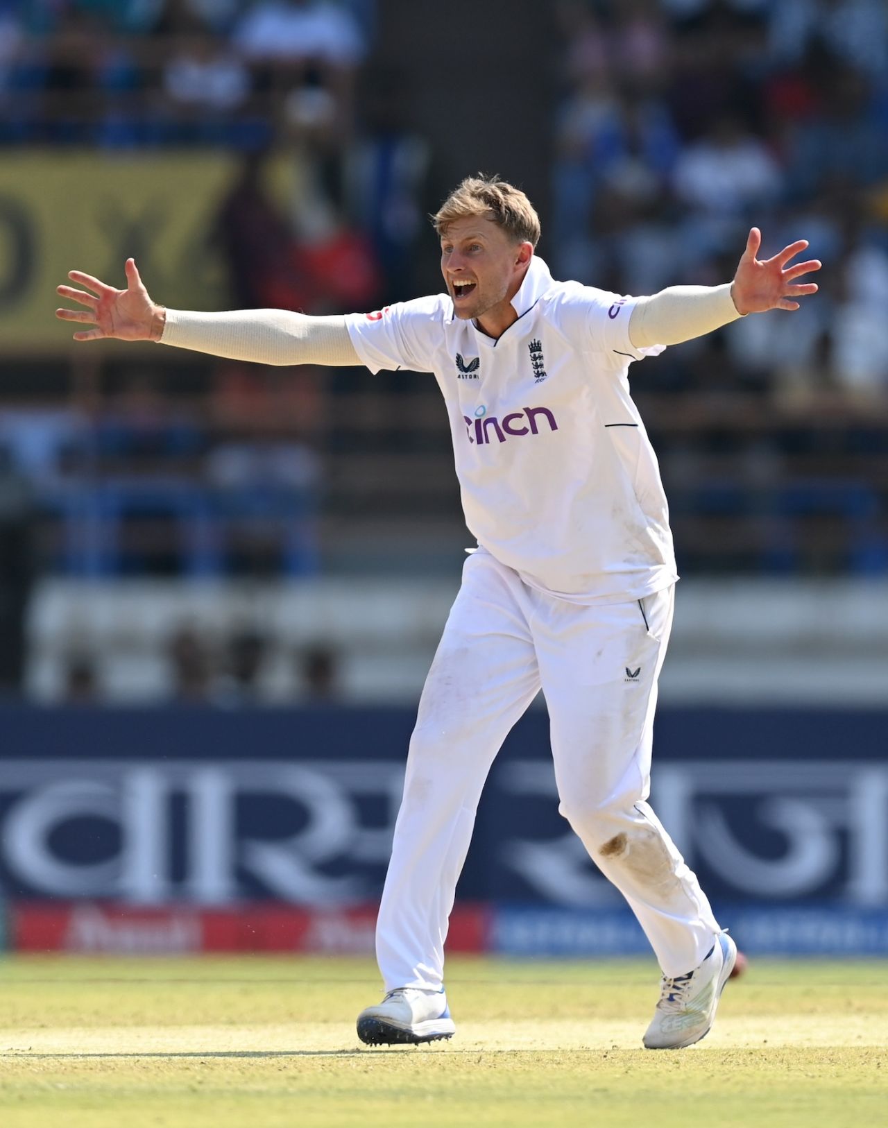 Joe Root pleads for Rohit Sharma's wicket - he got it after a review, India vs England, 3rd Test, Rajkot, 3rd day, February 17, 2024