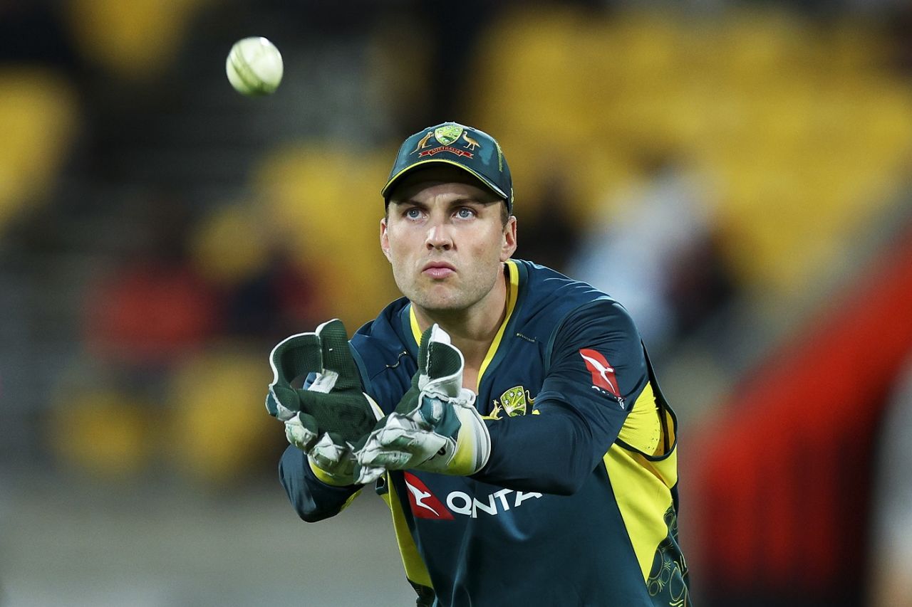 Josh Inglis prepares to catch the ball, New Zealand vs Australia, 1st T20I, Wellington, February 21, 2024