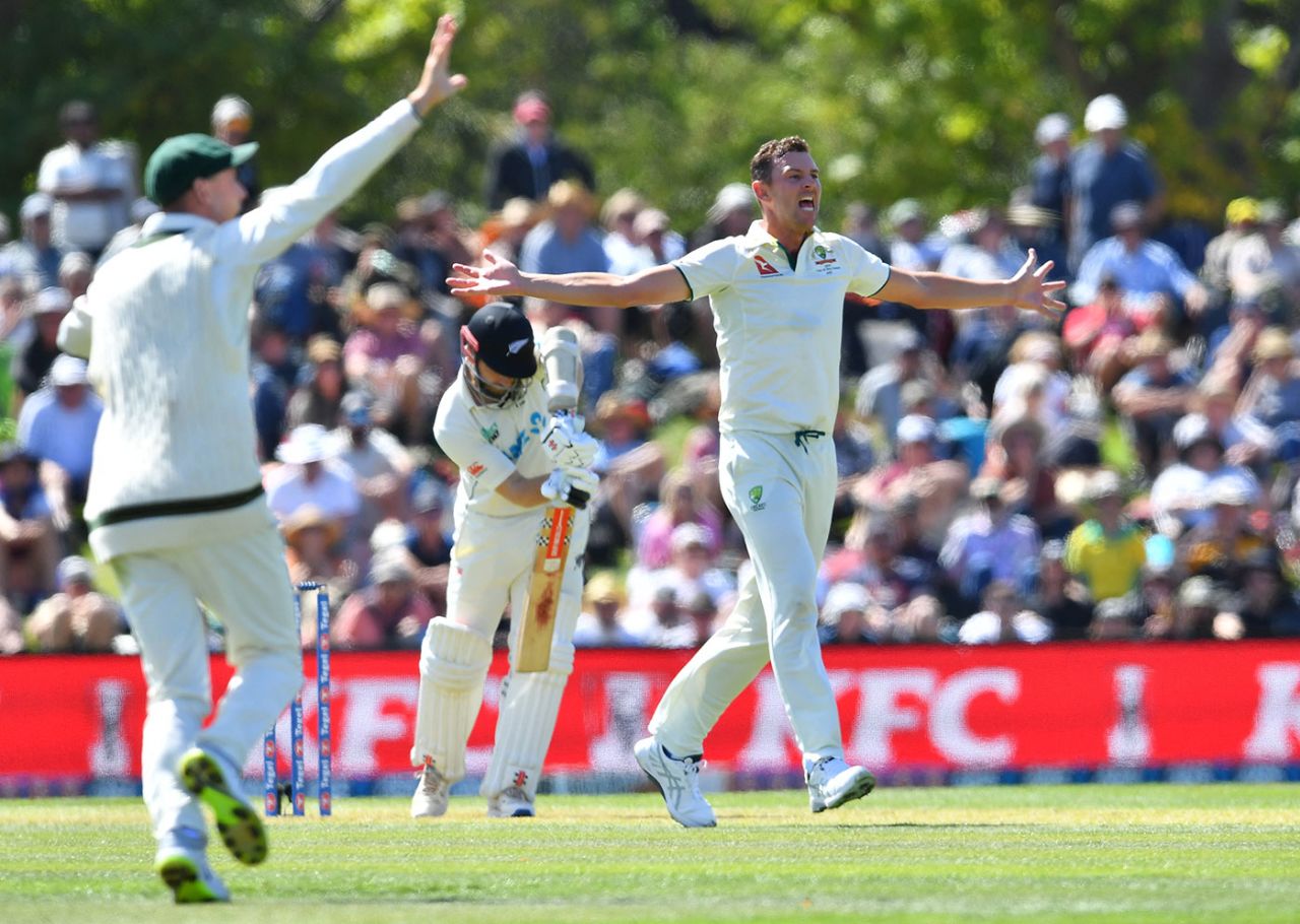 Josh Hazlewood appeals against Kane Williamson, New Zealand vs Australia, 2nd Test, Christchurch, March 8, 2024