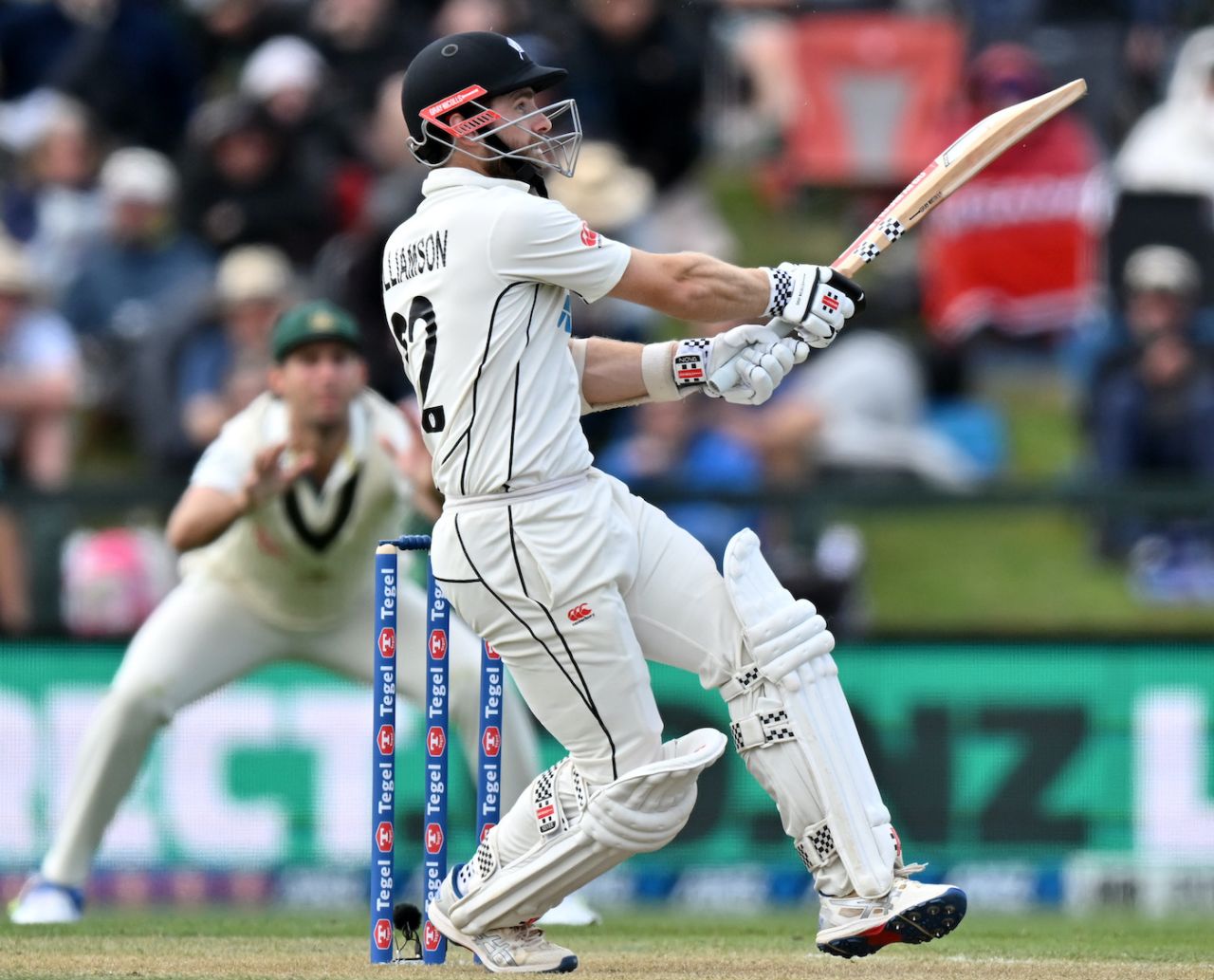 Kane Williamson regained some form, New Zealand vs Australia, 2nd Test, Christchurch, 2nd Day, March 9, 2024