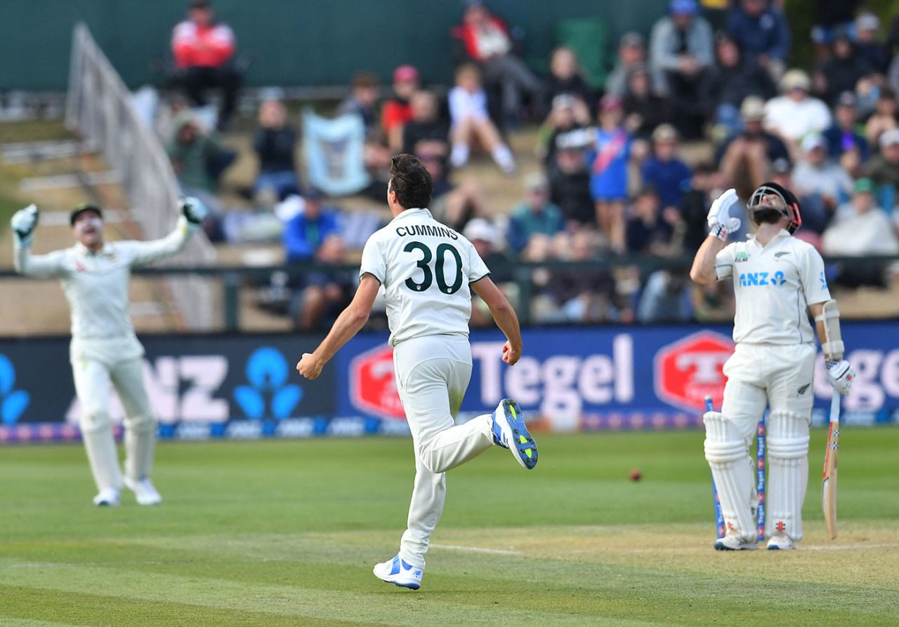 Pat Cummins claimed the huge wicket of Kane Williamson, New Zealand vs Australia, 2nd Test, Christchurch, 2nd Day, March 9, 2024
