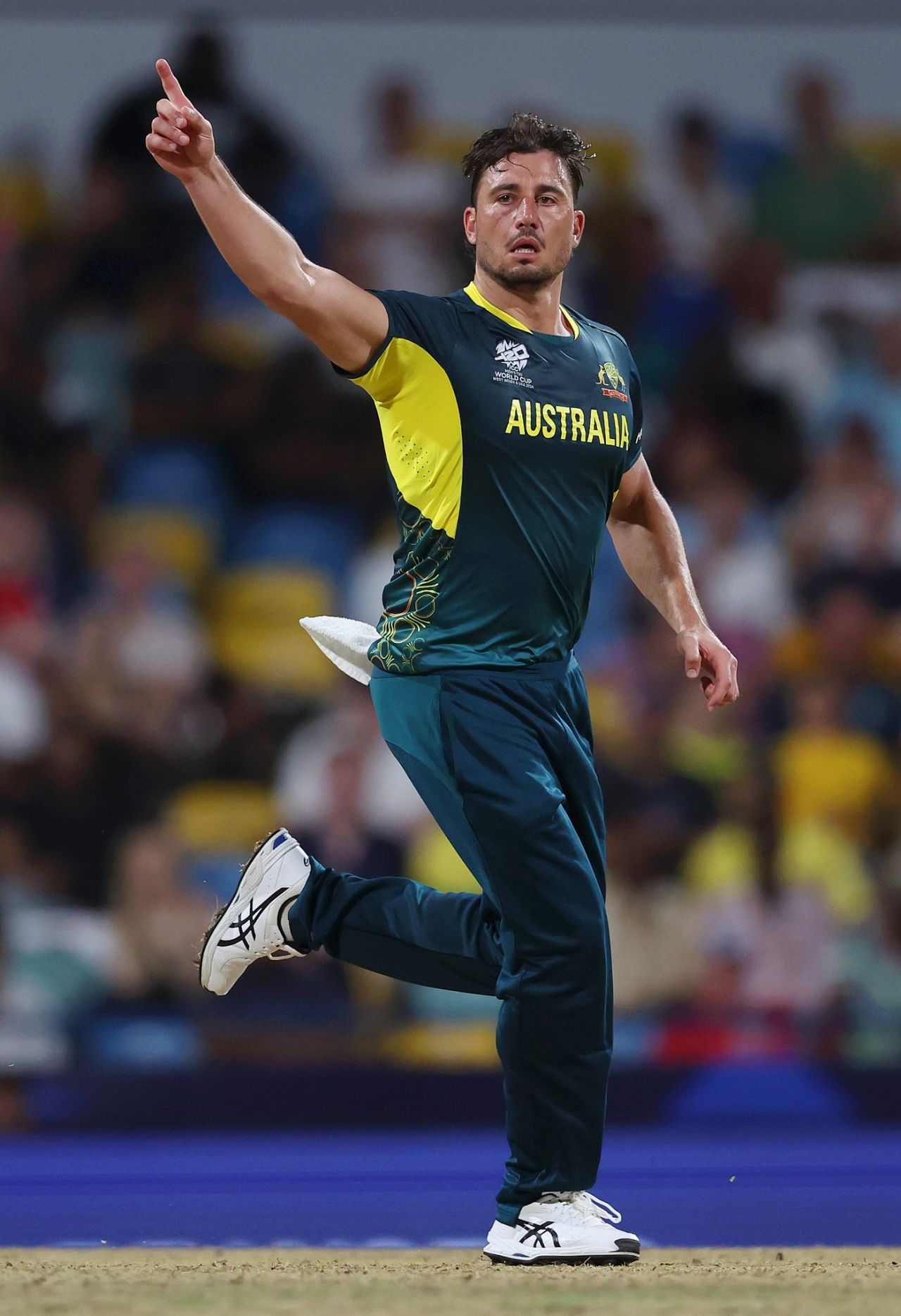 Marcus Stoinis wheels away after picking up a wicket, Australia vs Oman, T20 World Cup, Bridgetown, June 5, 2024