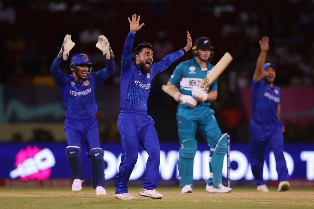 Rashid Khan was New Zealand's tormentor-in-chief, New Zealand vs Afghanistan, T20 World Cup 2024, Guyana, June 7, 2024