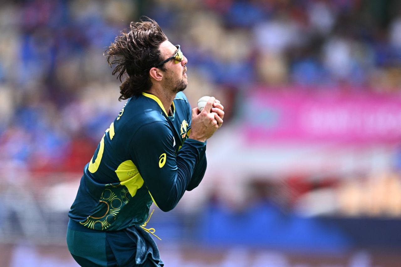 Tim David took a superb catch to dismiss Virat Kohli, Australia vs India, T20 World Cup Super Eight, Gros Islet, June 24, 2024