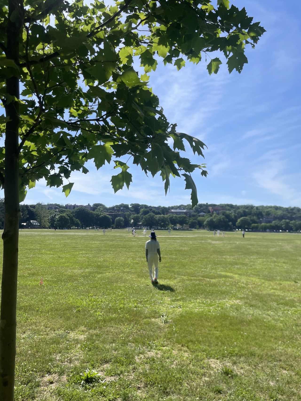 A view of a game from the boundary, Van Cortlandt Park, New York, June 2024