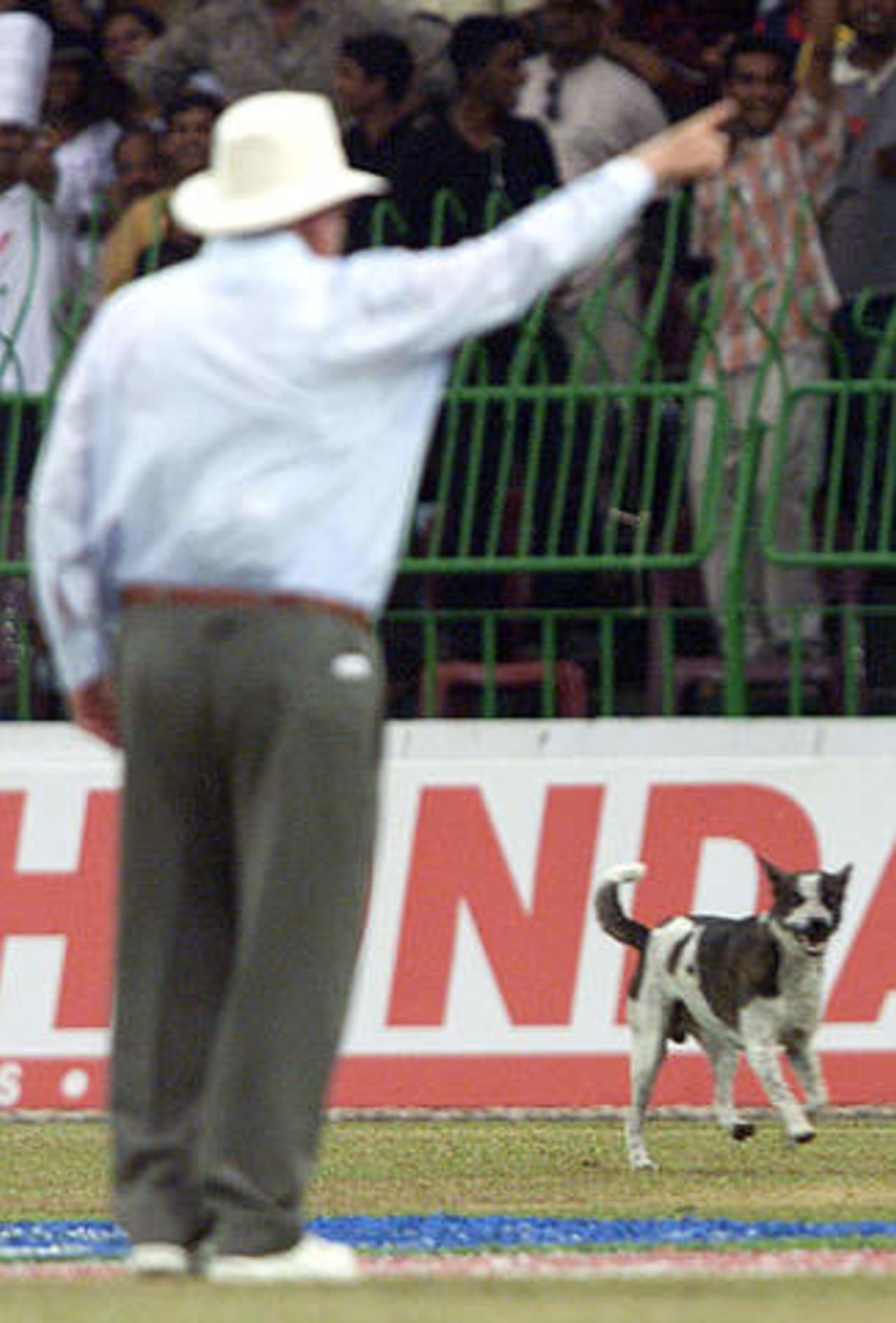 Shepherd gives marching orders to an unwanted on-field visitor during the
Champions Trophy finals between Sri Lanka and India in Colombo, September
30, 2002
