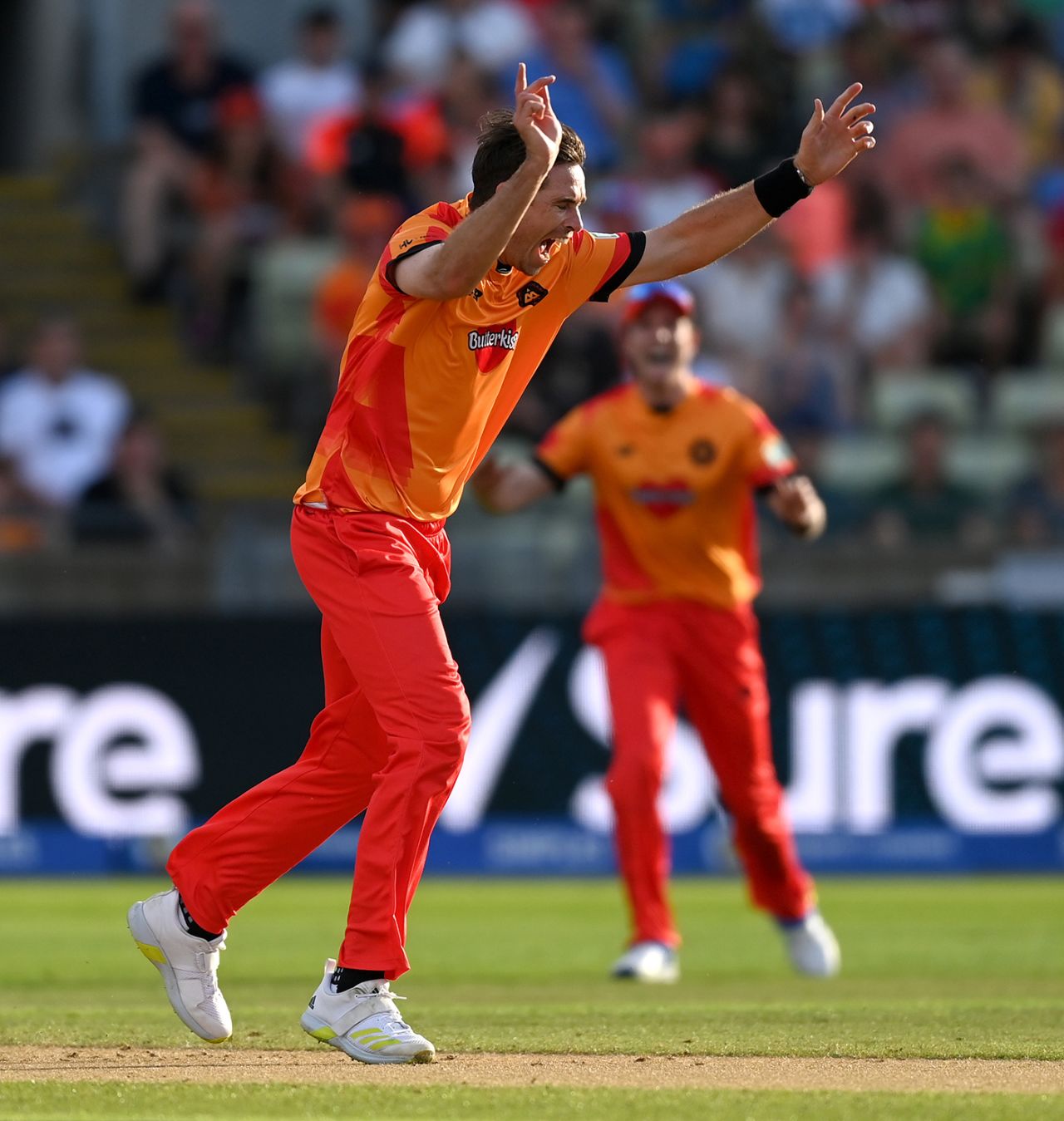 Tim Southee took 5 for 12 for the Phoenix, Birmingham Phoenix vs Trent Rockets, The Hundred (Men's), Edgbaston, August 12, 2024