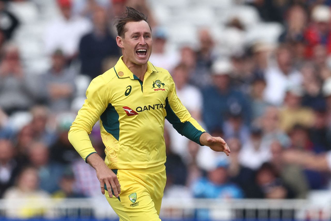 Marnus Labuschagne enjoyed his bowling success, England vs Australia, 1st ODI, Trent Bridge, September 19, 2024