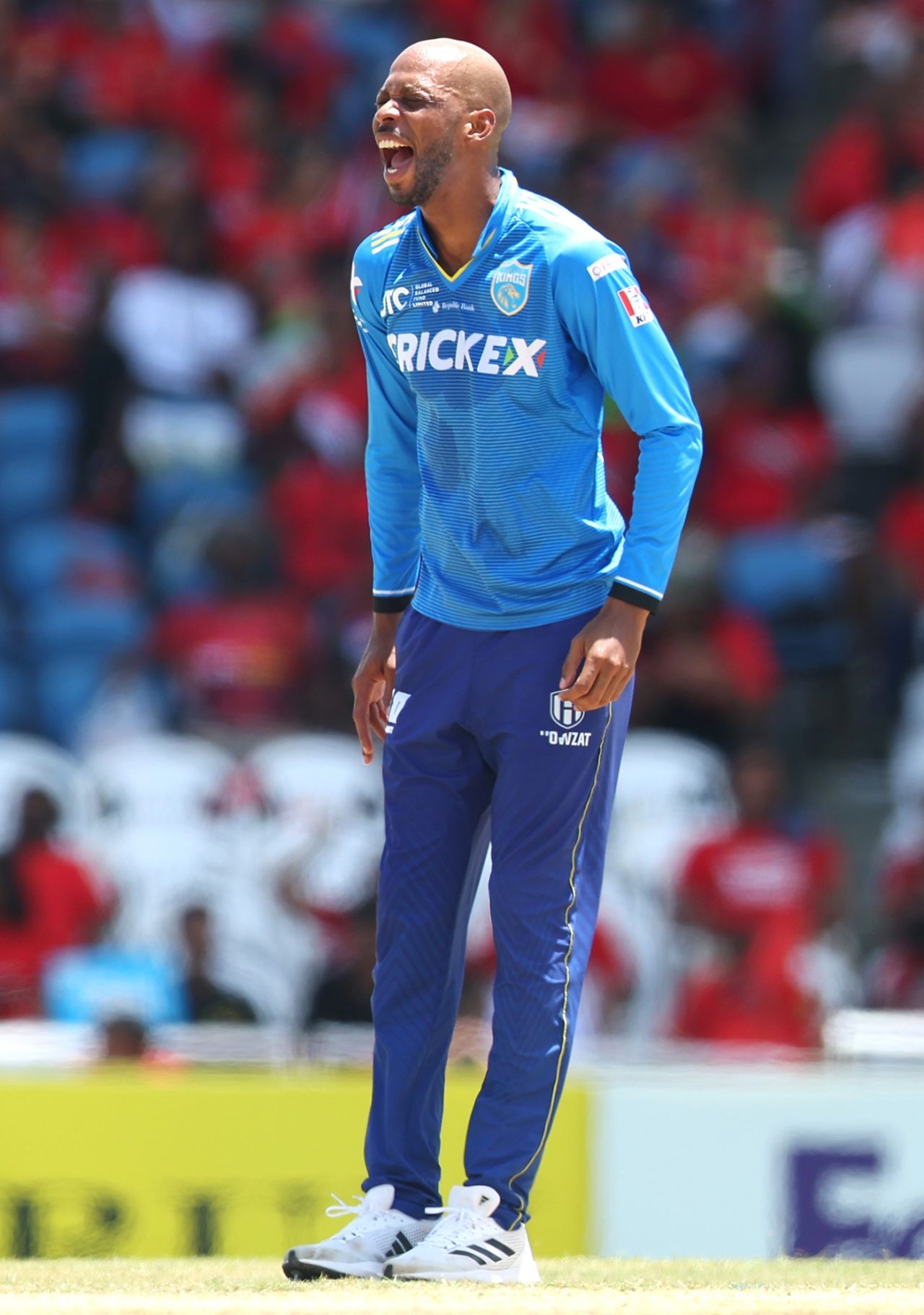 Roston Chase roars after taking a wicket, Trinbago Knight Riders vs St Lucia Kings, CPL 2024, Tarouba, September 24, 2024