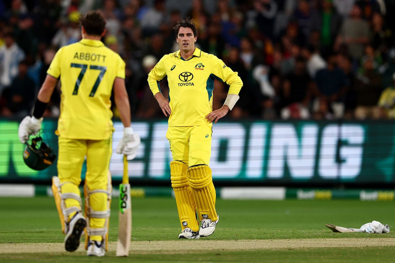 Pat Cummins wasn't impressed with Sean Abbott's run out, Australia vs Pakistan, 1st ODI, Melbourne, November 4, 2024