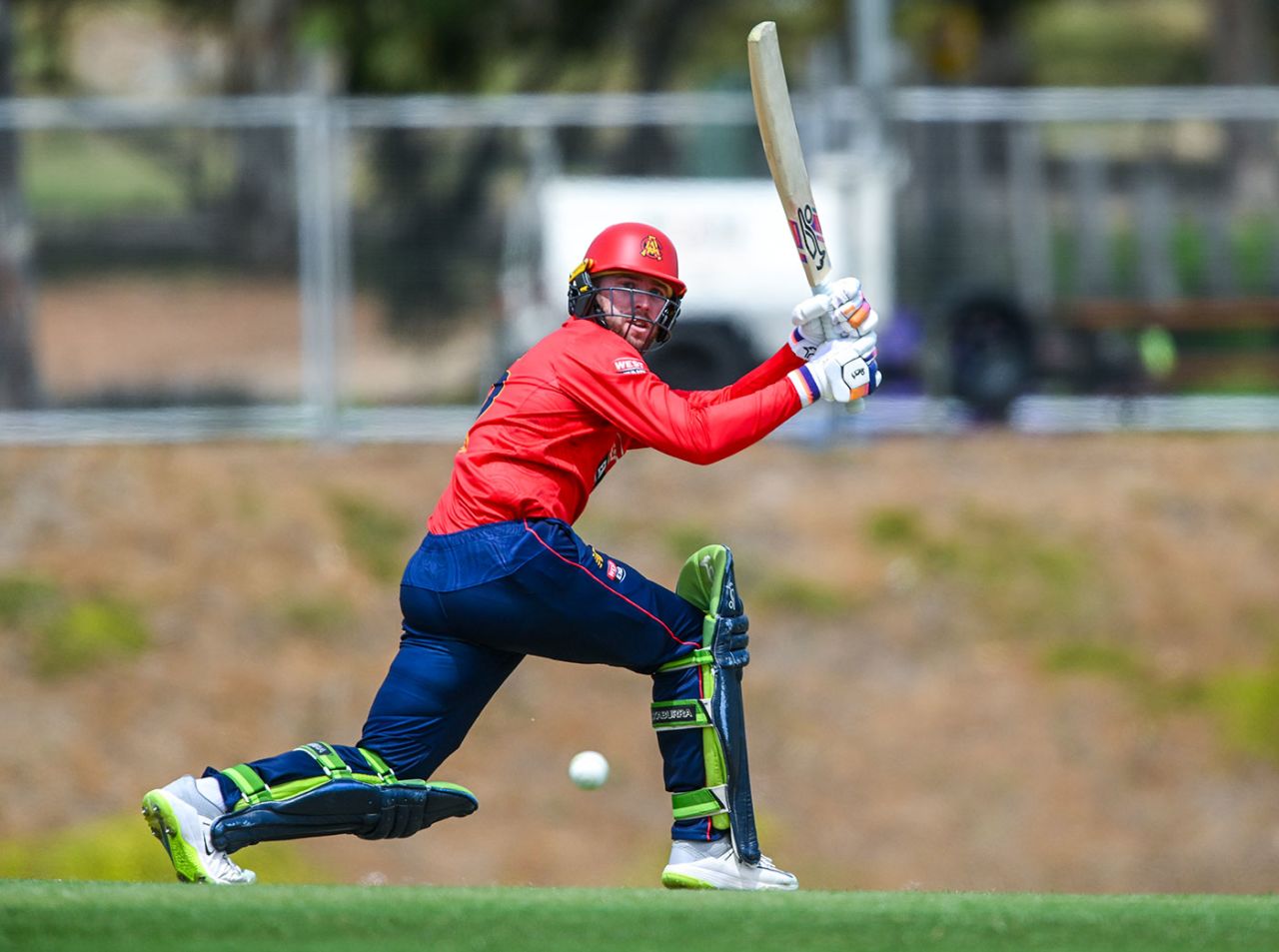 Mackenzie Harvey struck his maiden one-day hundred, South Australia vs Victoria, One-Day Cup, Karen Rolton Oval, November 6, 2024