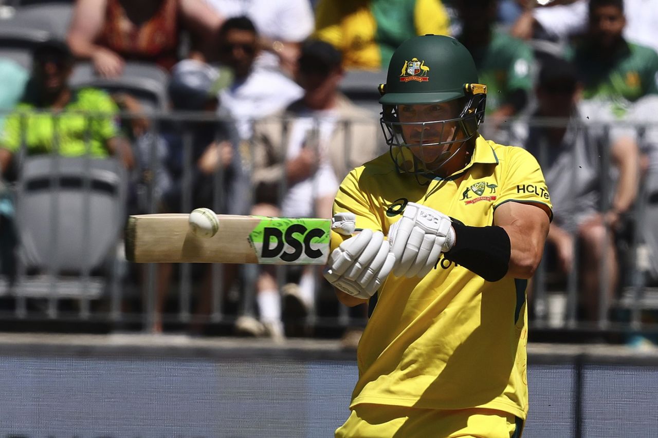 Sean Abbott plays the pull, Australia vs Pakistan, 3rd ODI, Perth, November 10, 2024