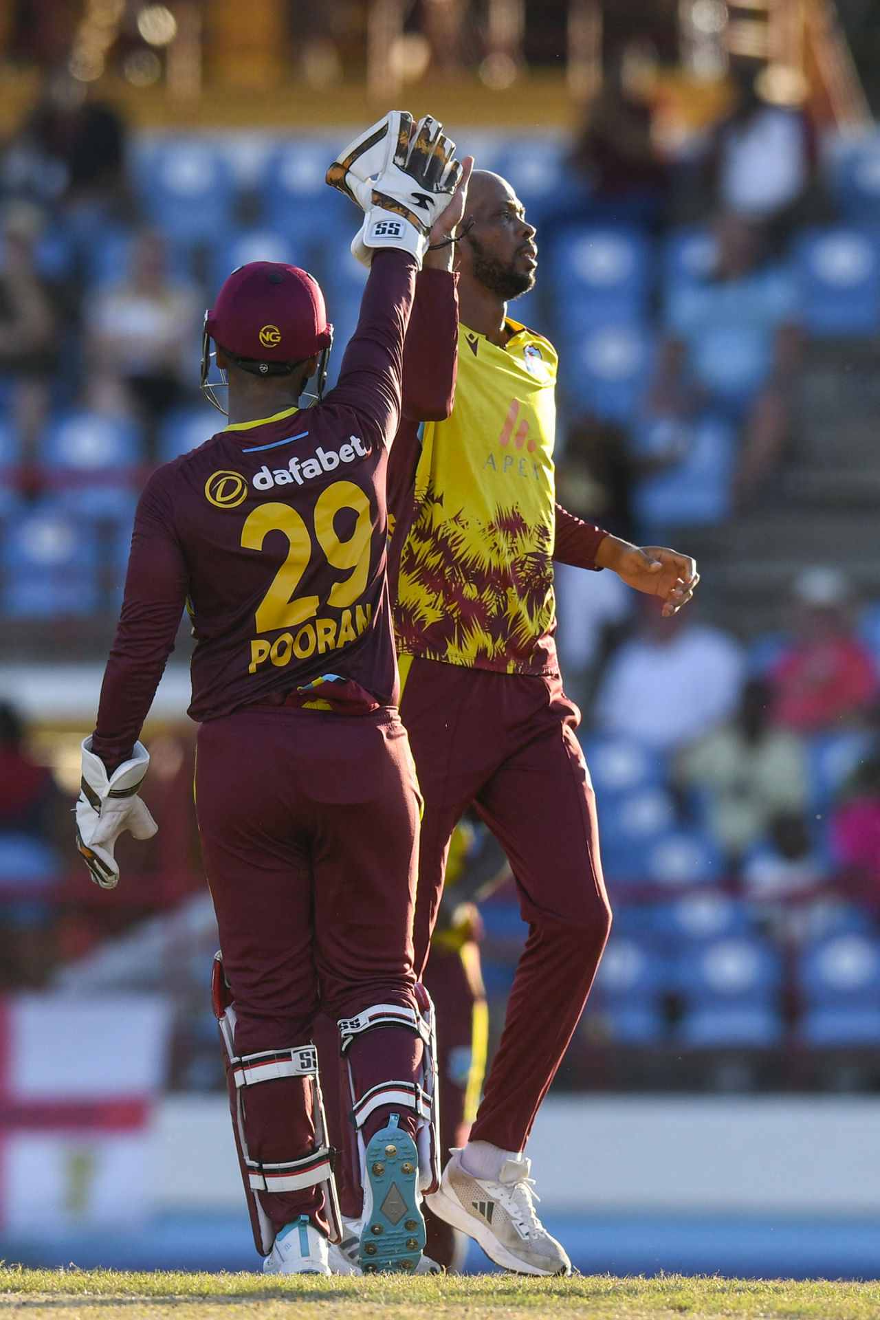 Roston Chase celebrates the dismissal of Phil Salt, West Indies vs England, 4th T20I, Gros Islet, November 16, 2024
