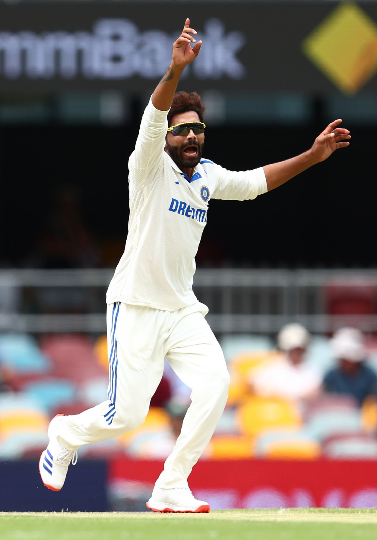 Ravindra Jadeja belts out an appeal for lbw, Australia vs India, 3rd Test, Brisbane, 3rd day, December 16, 2024