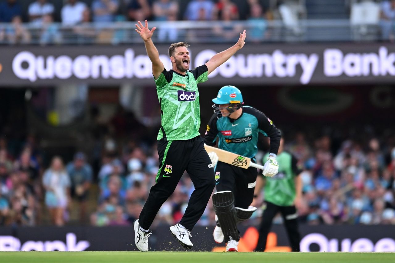 Mark Steketee was a menace against his old team, Brisbane Heat vs Melbourne Stars, BBL, Brisbane, January 1, 2025