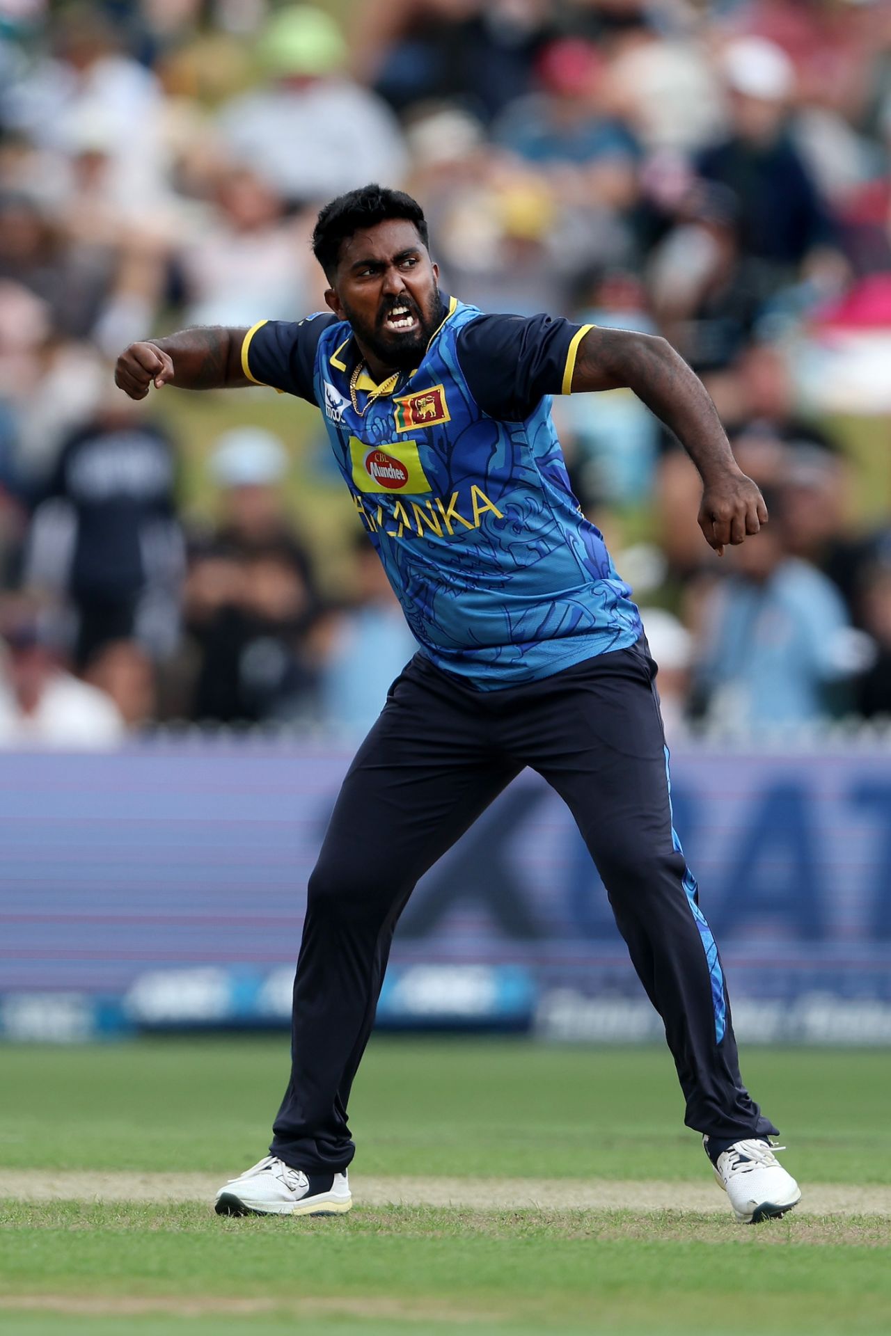 Asitha Fernando picked up the first wicket, New Zealand vs Sri Lanka, 2nd T20I, Hamilton, January 8, 2025