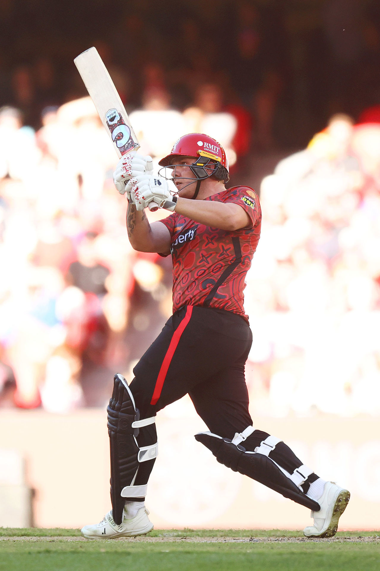 Josh Brown crunched 32 off 11 balls, Melbourne Renegades vs Brisbane Heat, BBL, Marvel Stadium, January 18, 2025
