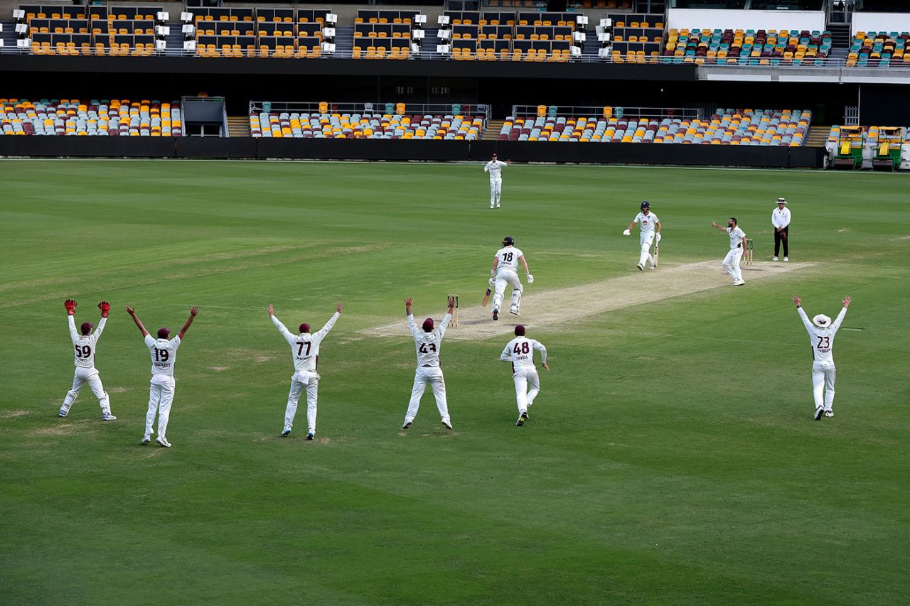 The Queensland slip cordon go up for an appeal, Queensland vs New South Wales, Sheffield Shield, Gabba, February 11, 2025