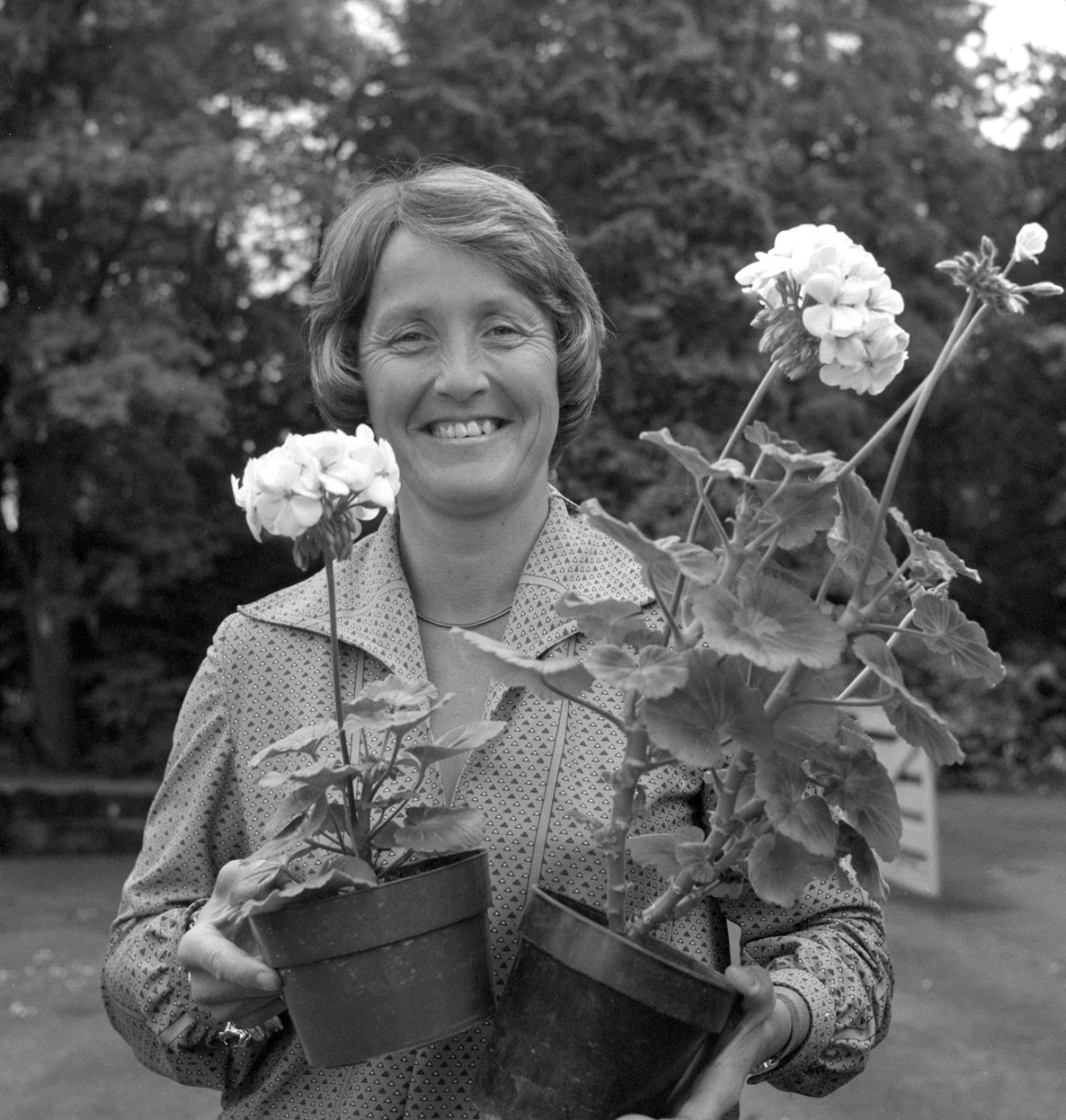 Rachael Heyhoe Flint with the geraniums that have been named after her, June 10, 1979